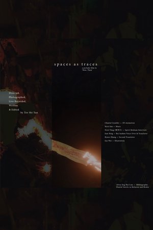 spaces as traces (2024)