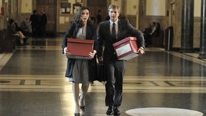 The Good Wife: 1×4