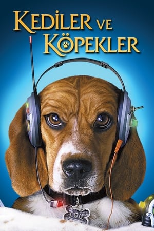 Kediler ve Köpekler (2001)