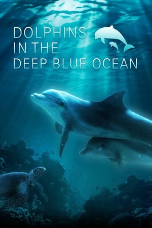 Poster di Dolphins in the Deep Blue Ocean