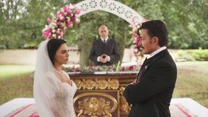 Épisode 11