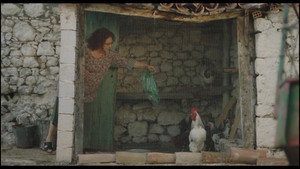 Rooster 58