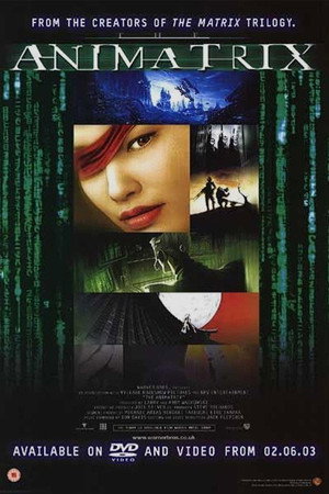 The Animatrix 75