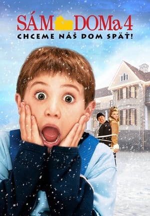 Sám doma 4: Chceme náš dom späť! (2002)