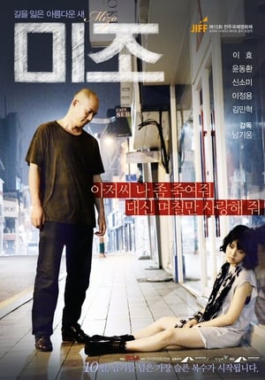 미조 (2014)