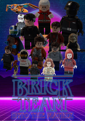 Brick Team: Into the Matrix