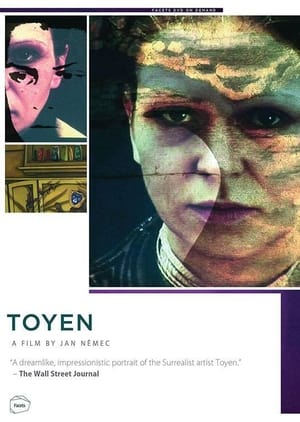 Poster Toyen (2005)