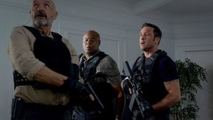 Hawaii Five-0 Temporada 5 Capitulo 13