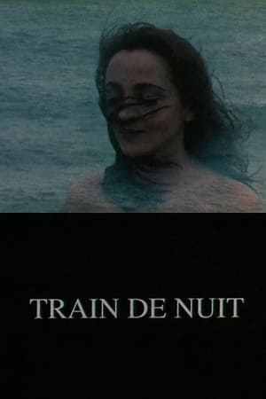 Poster Train de nuit 1994