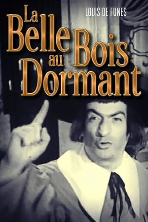 La Belle au bois dormant poster