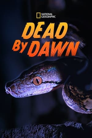 Poster Dead By Dawn 2019