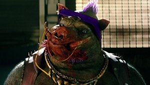 Teenage Mutant Ninja Turtles: Out of the Shadows (2016)