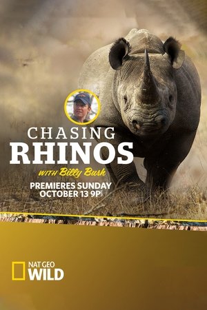 Poster Chasing Rhinos with Billy Bush (2013)