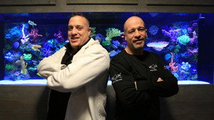 Tanked: On Call