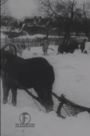 Nonton film The Great Blizzard in the Baltics in December (1913) terbaru sub indo Nonton film The Great Blizzard in the Baltics in December (1913) terbaru sub indo