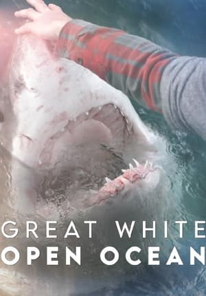 Poster Great White Open Ocean (2022)