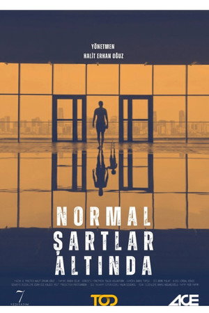 Normal Şartlar Altında 2025