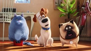 เรื่องลับแก๊งขนฟู The Secret Life of Pets (2016)  พากไทย