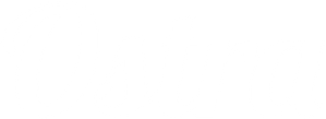Destemida — Logos 4