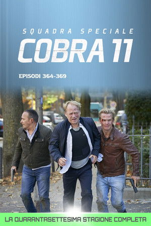 Squadra Speciale Cobra 11: Stagione 47