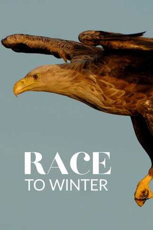 Race to Winter
