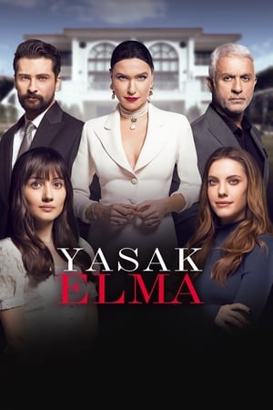 Poster Yasak Elma 2018