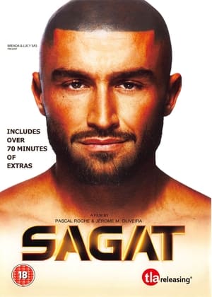 Poster Sagat 2011