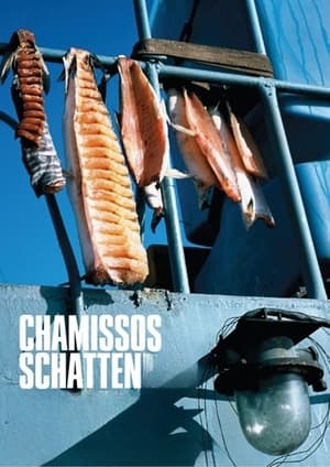 Poster Chamissos Schatten 2016