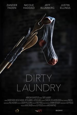 Poster Dirty Laundry (2014)