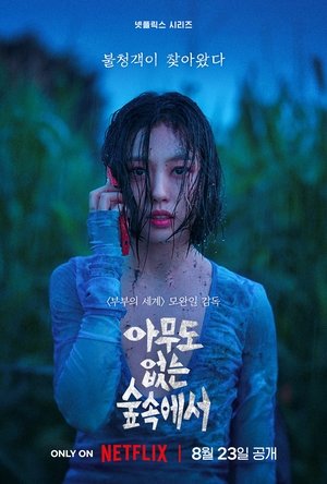 Image 아무도 없는 숲속에서