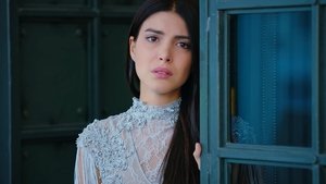 Mrs. Fazilet and Her Daughters: 2×1