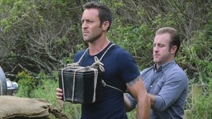 Hawaii Five-0 E malama pono (Handle with Care)