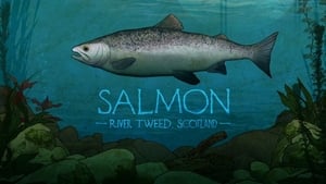 Mortimer & Whitehouse: Gone Fishing Salmon: River Tweed, Scotland