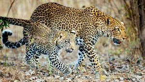 Episode 1 | StreamHub