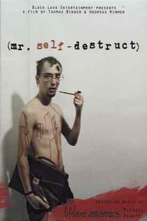 Poster Mr. Self-Destruct (2009)