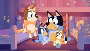 Bluey: 1×48