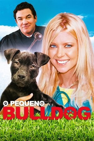 O Pequeno Bulldog - Poster