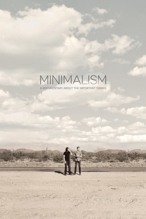 Image Minimalism: A Documentary About the Important Things