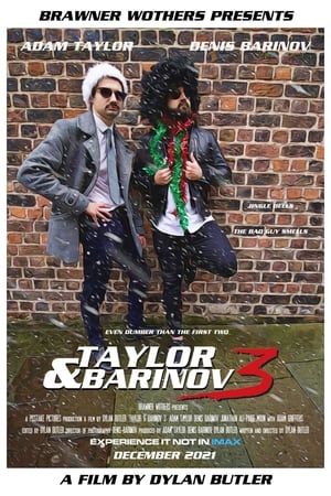 Poster Taylor & Barinov 3 (2021)