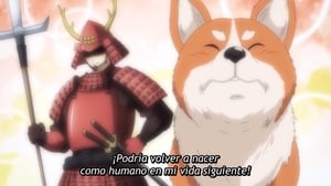 Oda Cinnamon Nobunaga: 1×5