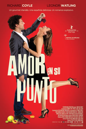 Poster Amor en su punto 2013