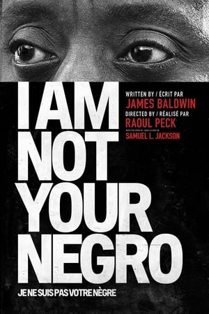 Poster I Am Not Your Negro 2017