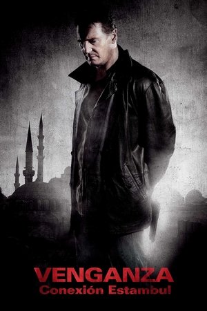 pelicula Venganza: Conexión Estambul (2012)