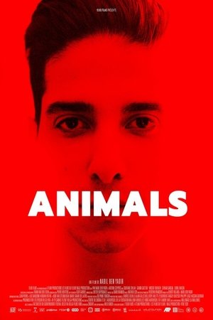 Nonton Drama Korea Animals (2021)
