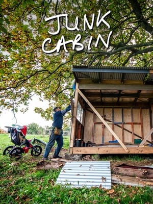 Poster Junk Cabin (2020)