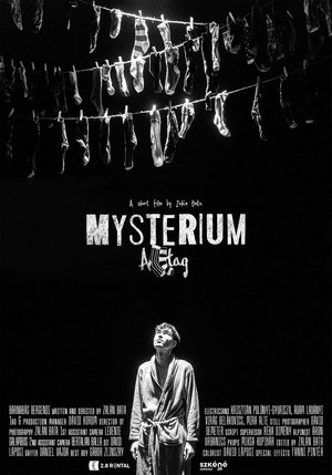 Mysterium Alltag