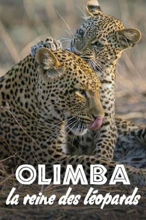 Image Olimba, la reine des léopards