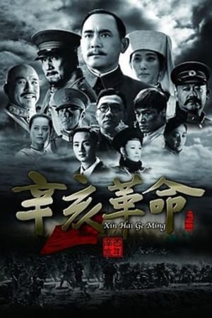 Poster 辛亥革命 2011