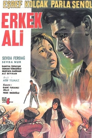 Erkek Ali poster