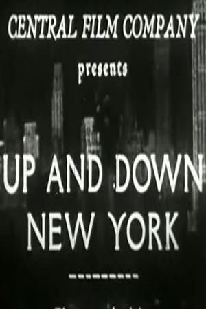 Up And Down New York